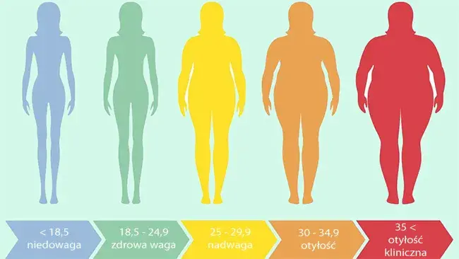Idealne proporcje wagi do wzrostu - porady dla osób o wzroście 176 cm