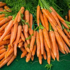 Ile kcal ma marchewka: Pełna wartość kaloryczna i wpływ na dietę