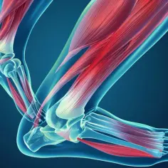 Ból mięśnia piszczelowego: objawy, przyczyny, leczenie