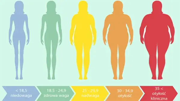 Idealne proporcje wagi do wzrostu - porady dla osób o wzroście 176 cm